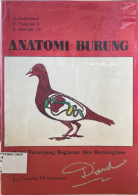 Image of Anatomi Burung