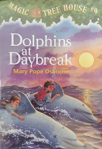 Image of Dolphins at Daybreak