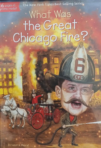 Image of What Was the Great Chicago Fire?