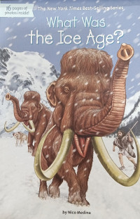 Image of What Was the Ice Age?