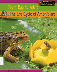 Image of From Egg to Adult: The Life Cycle of Amphibians