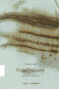 Image of Don Quixote