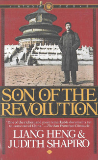 Image of Son of The Revolution