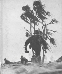 Image of Island Fighting: World War II