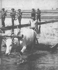 Image of China-Burma-India: World War II