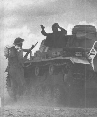 Image of War in the Desert, The: World War II