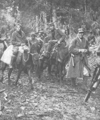 Image of Partisans and Guerrillas: World War II