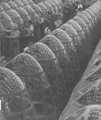 Image of Home Front, U.S.A, The: World War II