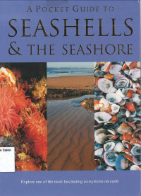 Image of Pocket Guide to Seashells & the Seashore, A