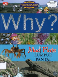 Image of Why? Mud Flats: Lumpur Pantai