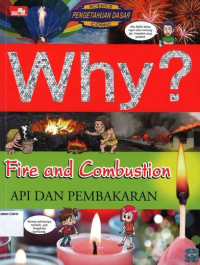 Image of Why? Fire and Combustion: Api dan Pembakaran
