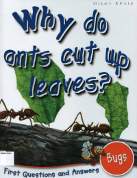 Image of Why do Ants Cut Up Leaves?