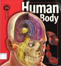 Image of Insiders: Human Body