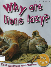 Image of Why are Lions Lazy?