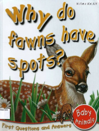Image of Why do Fawns Have Spots?