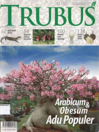 Image of Juni 2007: TRUBUS