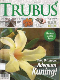 Image of April 2007: TRUBUS