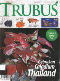 Image of Maret 2007: TRUBUS