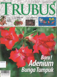 Image of Januari 2007: TRUBUS
