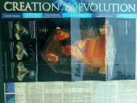 Image of Poster: Creation & Evolution