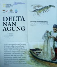 Image of Poster: Delta nan Agung: National Geographic