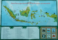 Image of Peta Flora dan Fauna Identitas Provinsi di Indonesia