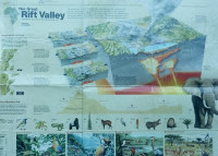 Image of Poster: Great Rift Valley: Dinamika Kehidupan di Lembah Albertine